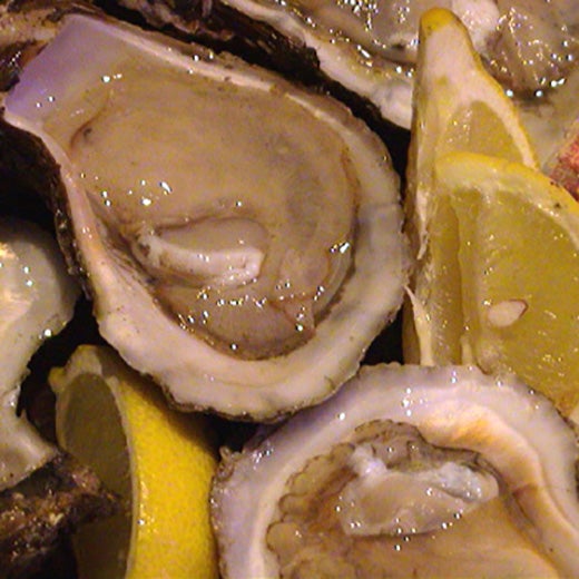 The 11 Best Places For Oysters in New Orleans
